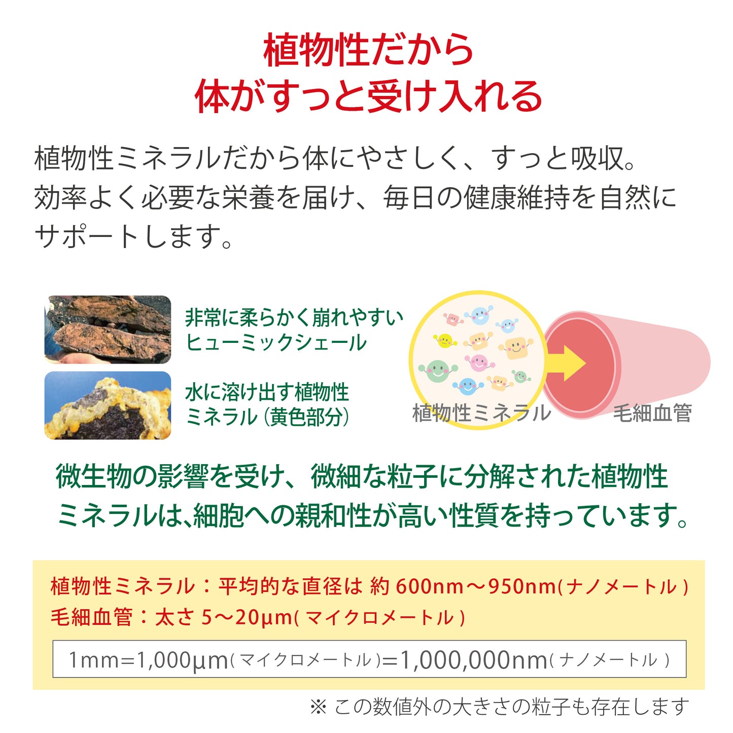 プラントミネラル 1000mL