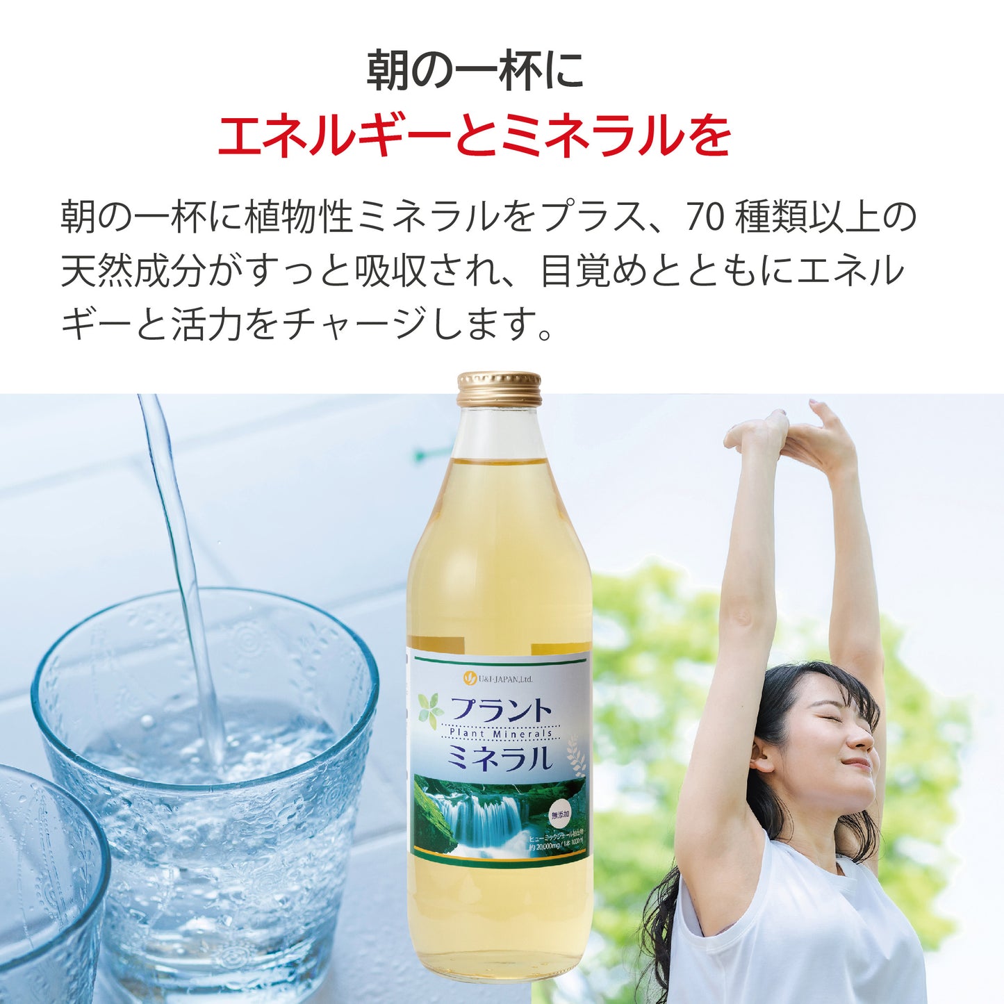 プラントミネラル 1000mL