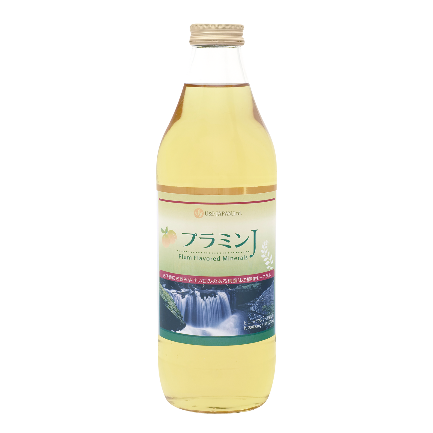 プラミンJ 1000mL