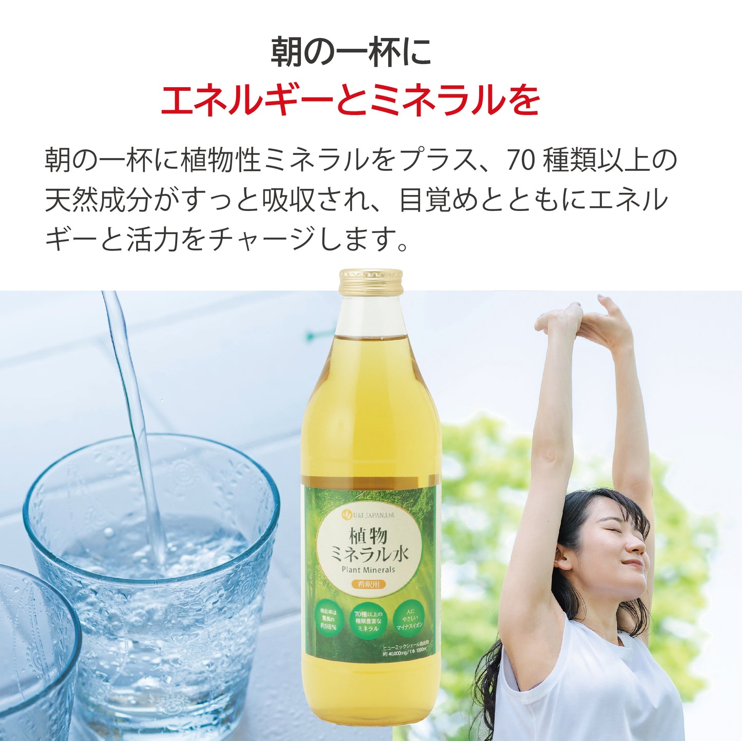 植物ミネラル水 1000mL