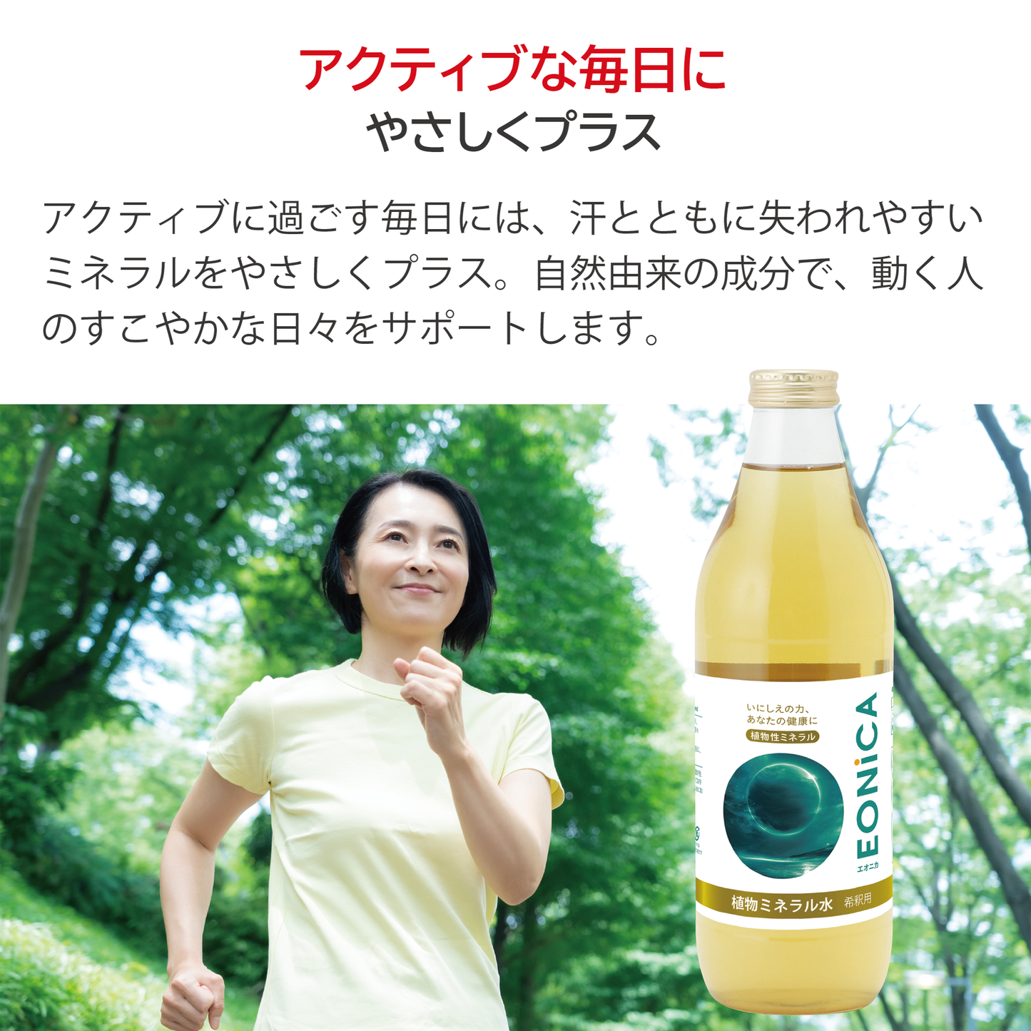 植物ミネラル水 1000mL – U&I JAPAN ストア 植物ミネラル水 1000mL – U&I JAPAN ストア