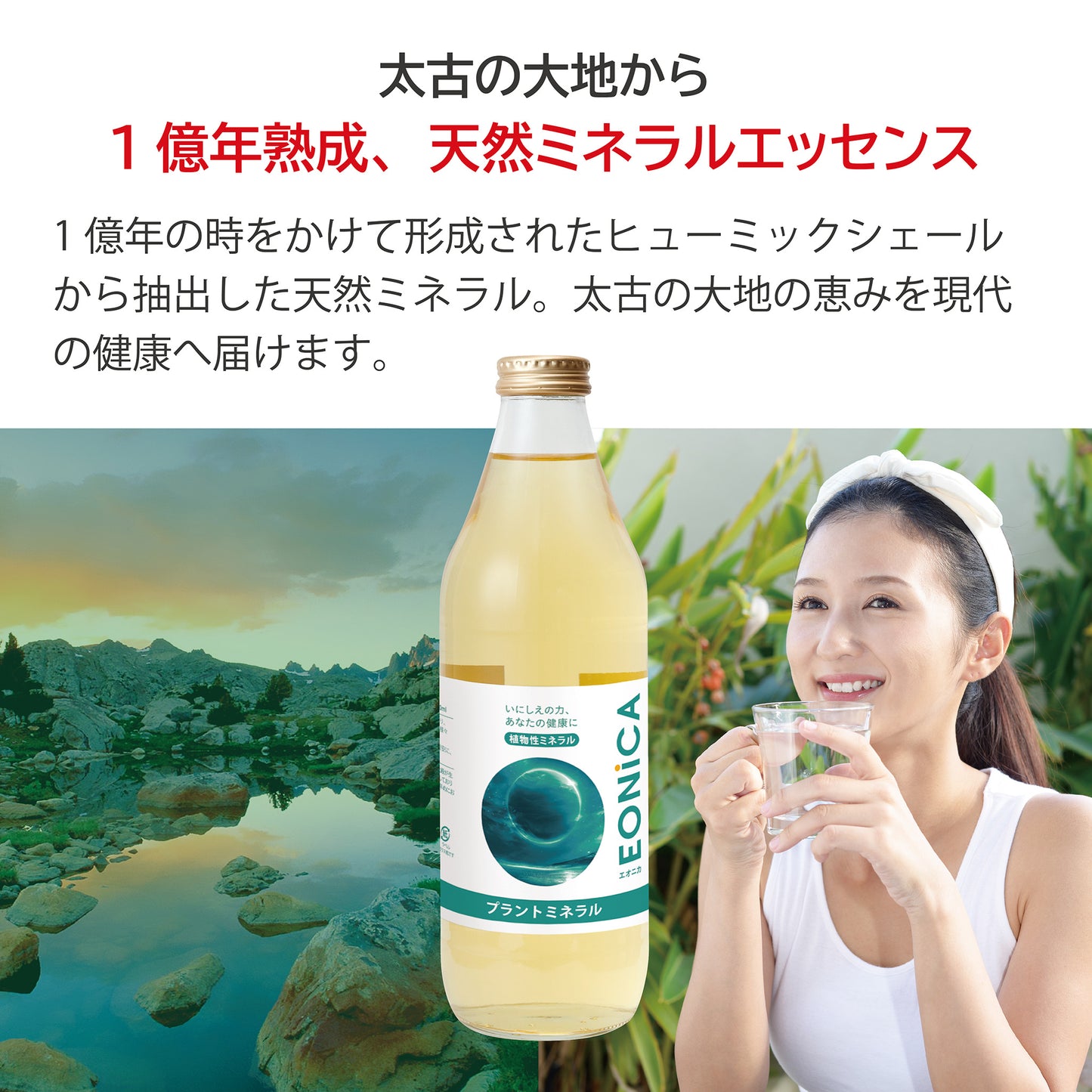 プラントミネラル 1000mL