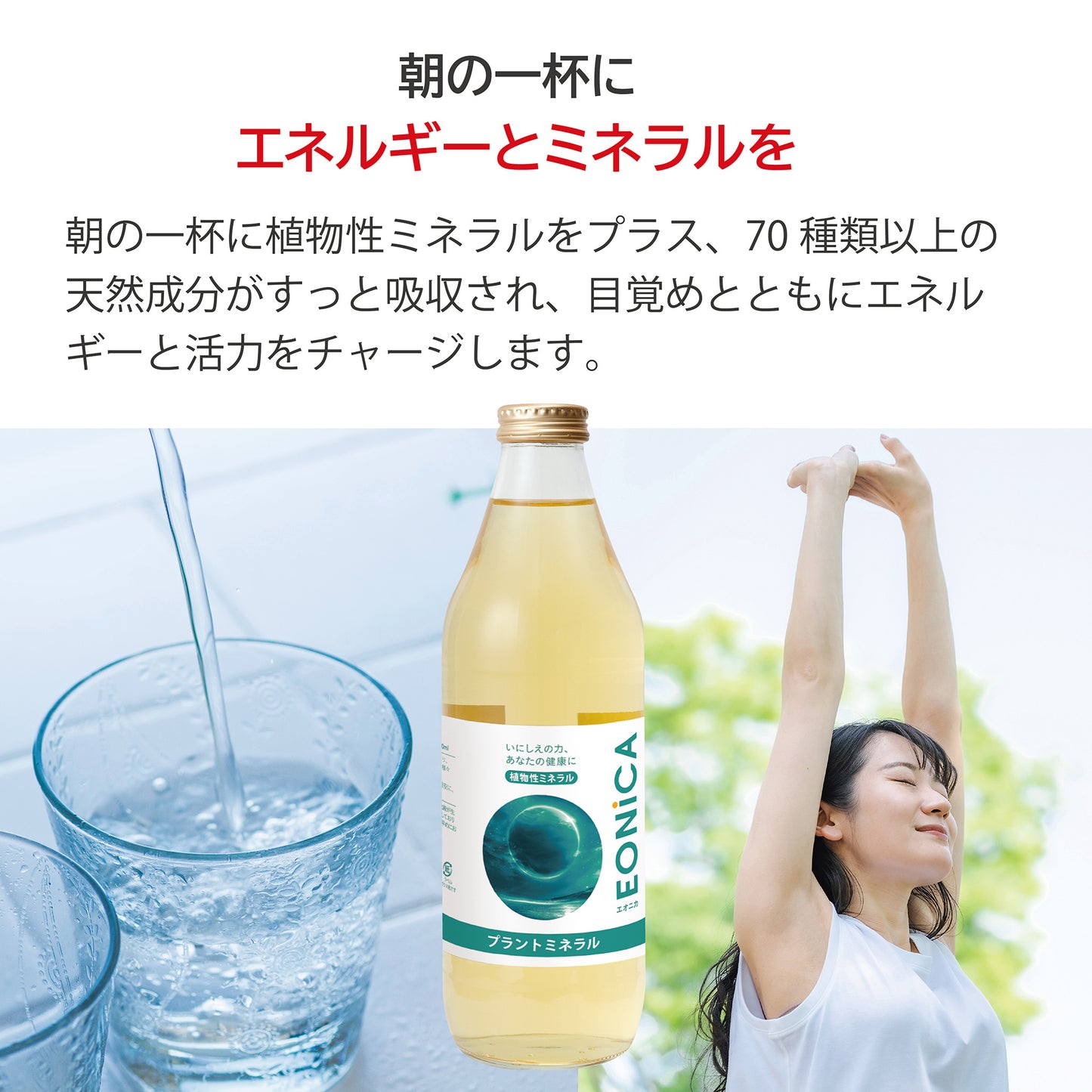 プラントミネラル 1000mL